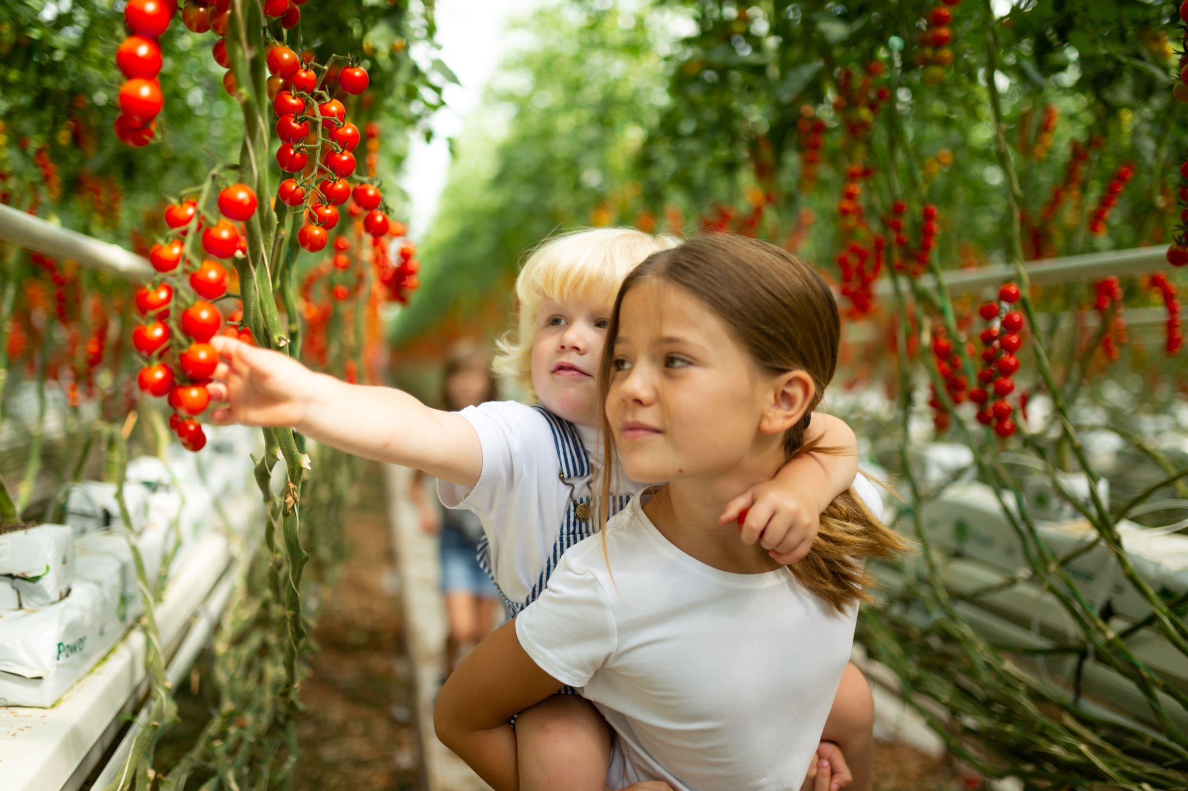 Udržitelné zemědělství? Inspirovat může Farma Bezdínek